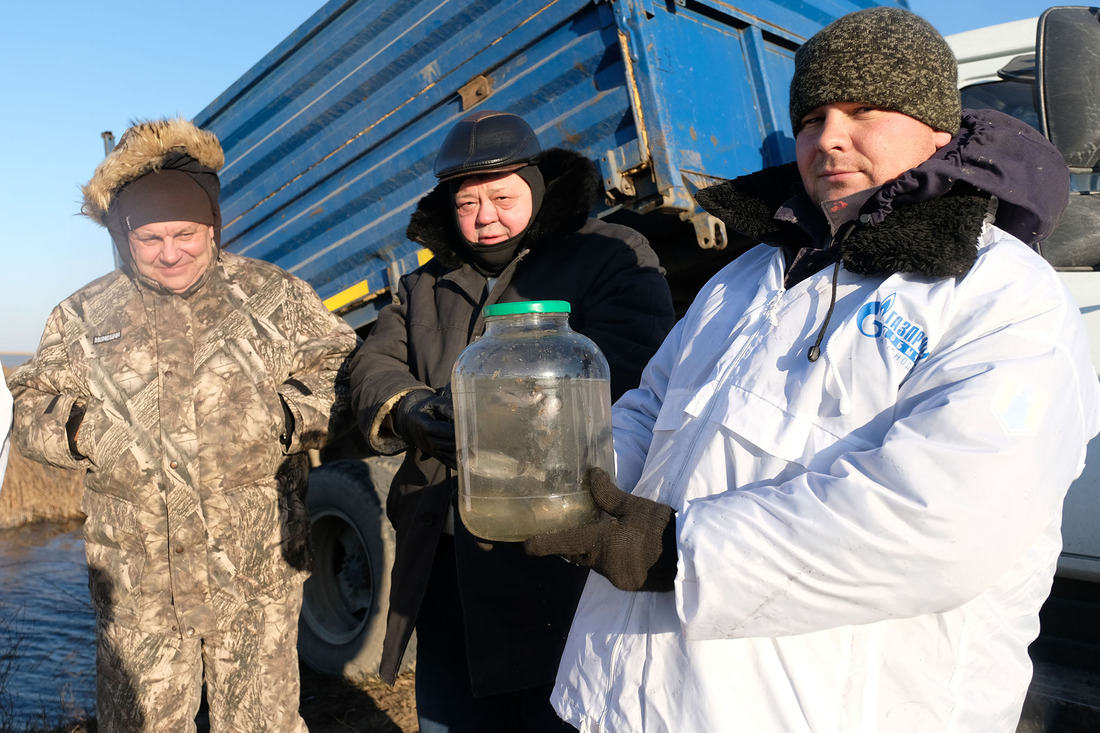 Экоакцию по выпуску малька газовики проводят третий год подряд