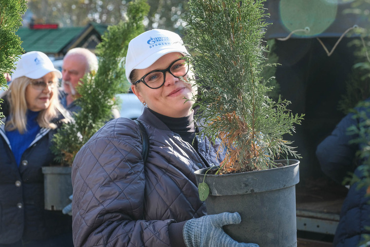 В 2023 году совместными усилиями активистов «Газпром добыча Краснодар» было высажено более 100 деревьев