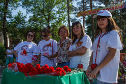 Веломарафон "Факел Победы"